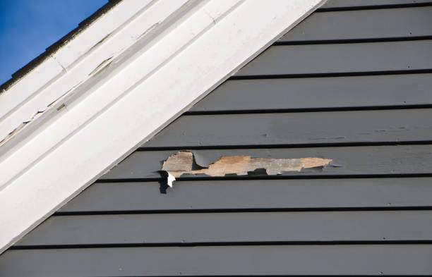 Best Fiber Cement Siding Installation  in Jonesville, VA